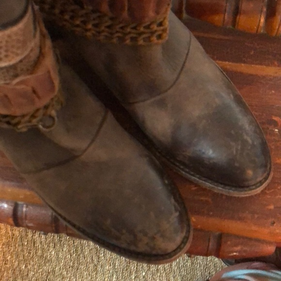 Freebird - Picture 7 of 9